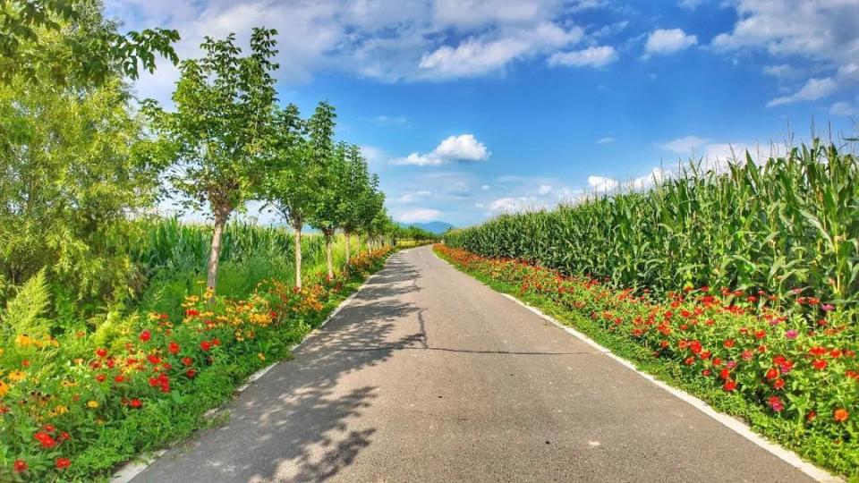 体验乡村马, gtimg